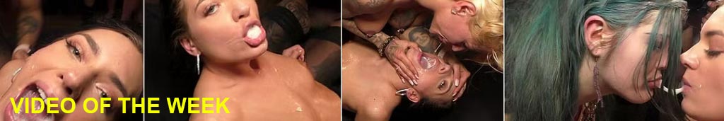 Video of the week - Bild 1