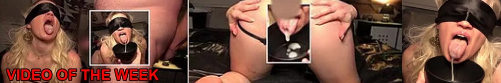 Video of the week - Bild 1